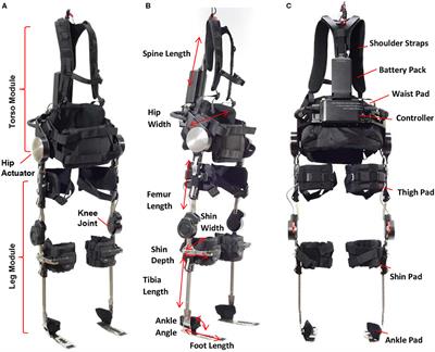 Outcomes of a Multicenter Safety and Efficacy Study of the SuitX Phoenix Powered Exoskeleton for Ambulation by Patients With Spinal Cord Injury